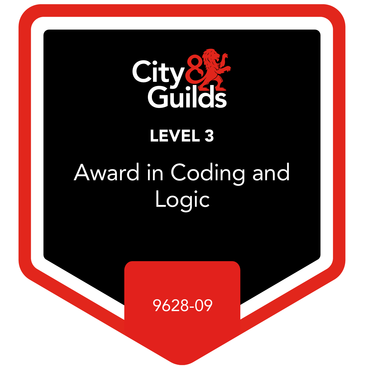 Coding qualification preview